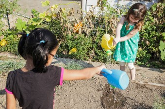 Children watering the garden