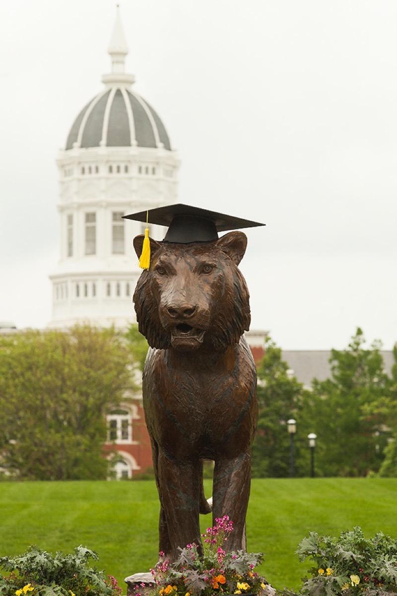 Bronze tiger in a graduation cap.