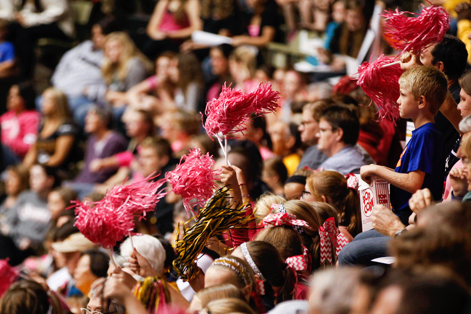 Tiger fans wave pink pom-poms in the air after scoring another point against Ole Miss. The theme of the night was "Pink Out" to support and raise awareness for breast cancer.
