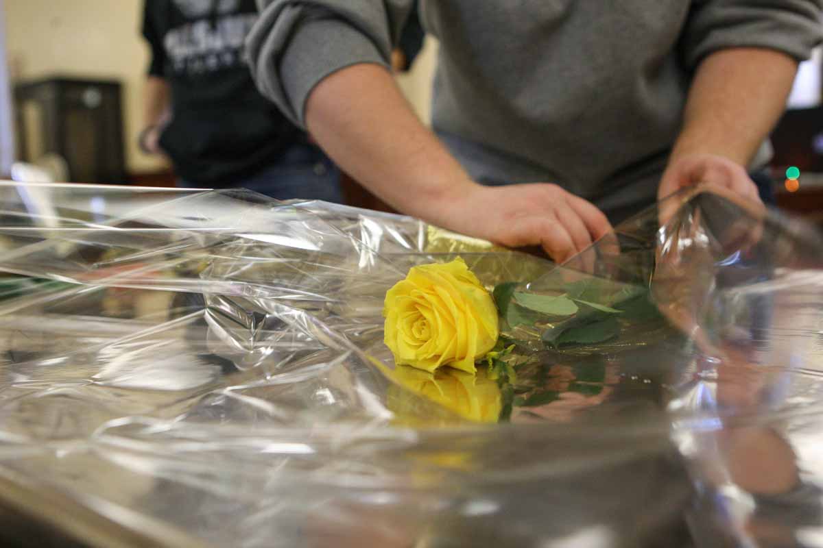 Sophomore Katie Stoops wraps a single yellow rose in clear plastic wrap to protect its petals from the cold weather outside, Friday afternoon in the foyer of Jesse Hall. Each flower and bouquet was tied with a black and gold "Mizzou Tigers" ribbon.
