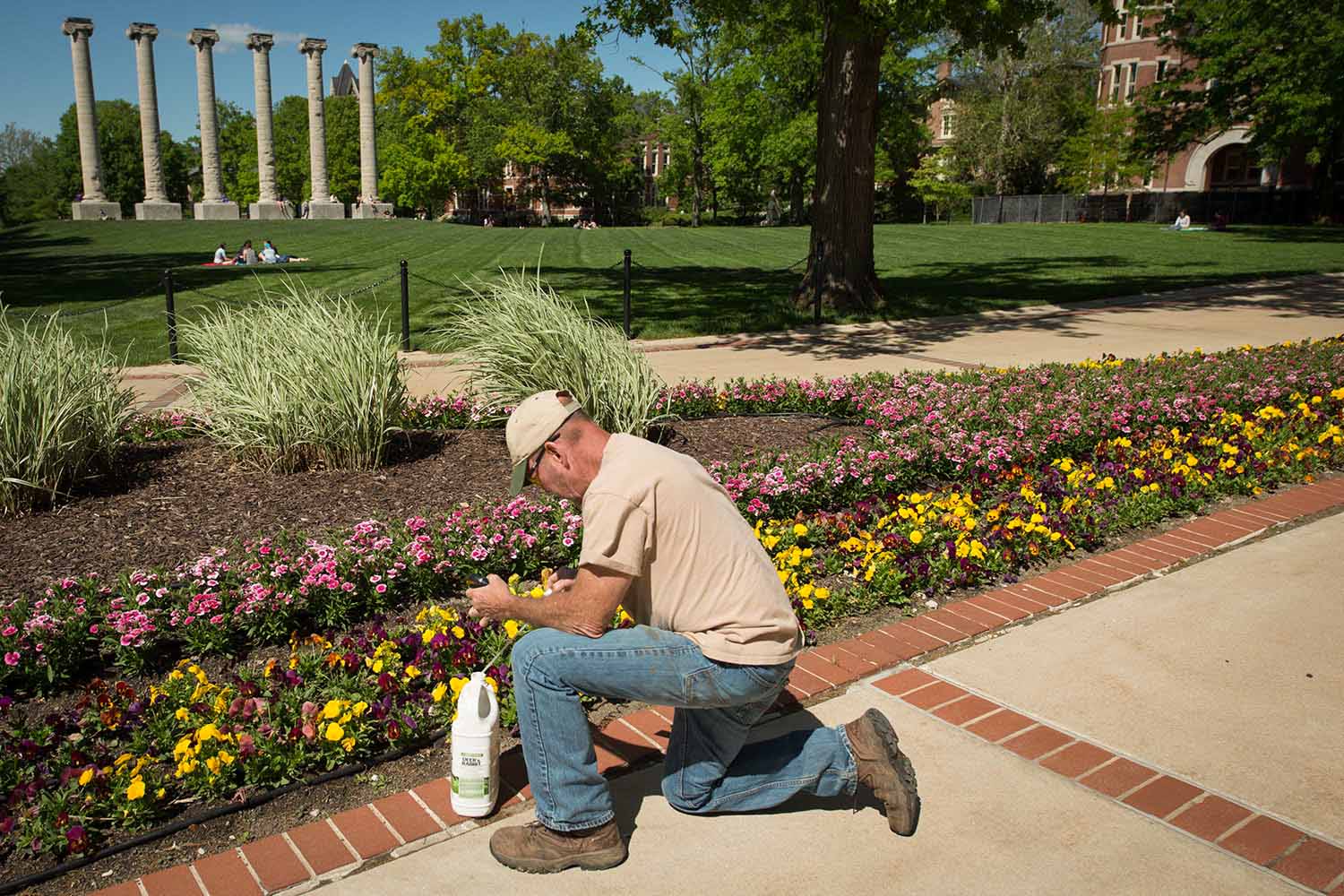 Campus facilities employee Stephen Parker tends to the flowers on the southwest corner of The Quad.