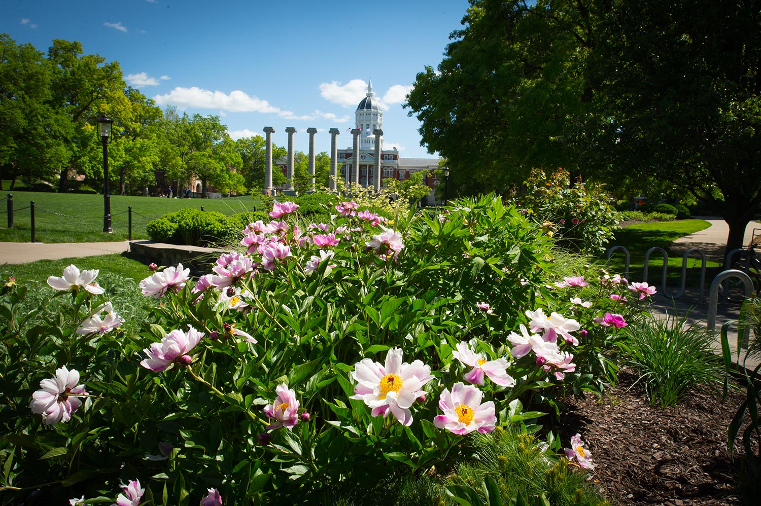 Flowers adorn campus on the northwest corner of The Quad.