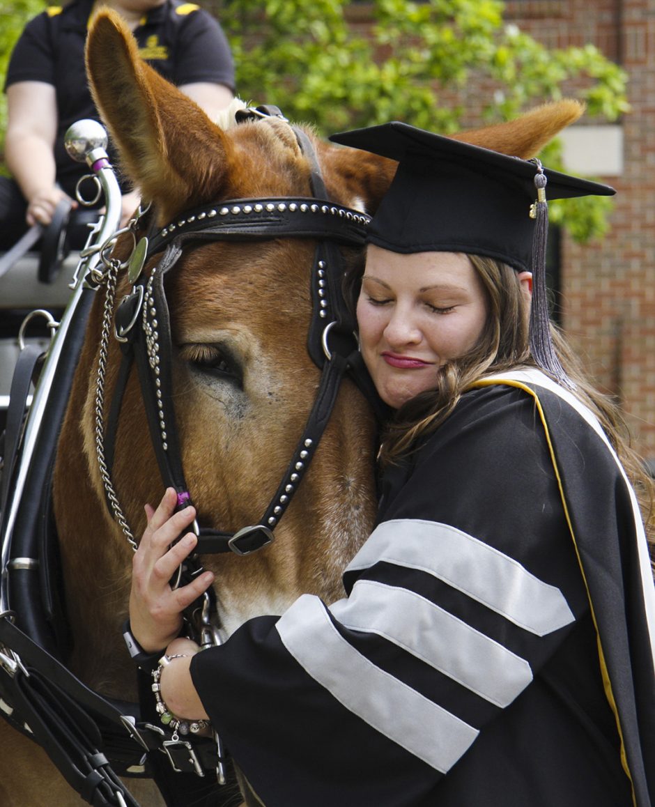 Laurel Marshalek, DVM, hugs Tim after the College of Veterinary Medicine graduation ceremony Friday. The CVM Mule Club drives Tim and Terry to Reynolds Alumni Center for photos with the recent graduates. Photo by Karen Clifford