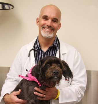 Dr. Bryan with a dog in his lab.