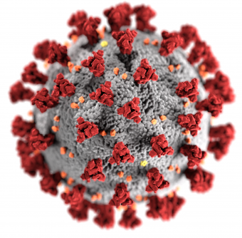 This is a picture of the coronavirus' molecular structure.