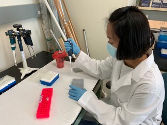 This is a picture of Shu Yu Hsu conducting a PCR test
