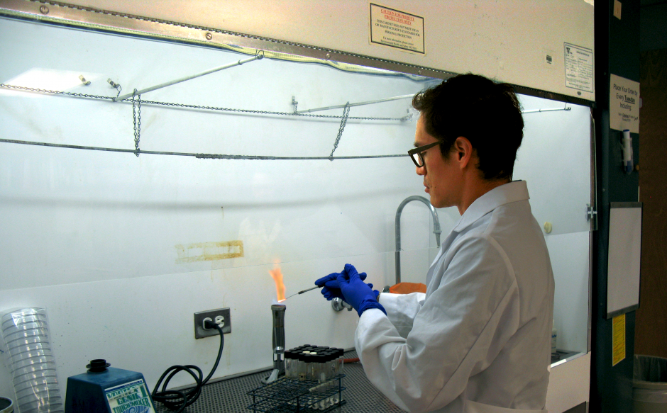 a researcher in a lab
